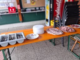 whatsapp image 2026-04-13 at 10.03.47 1